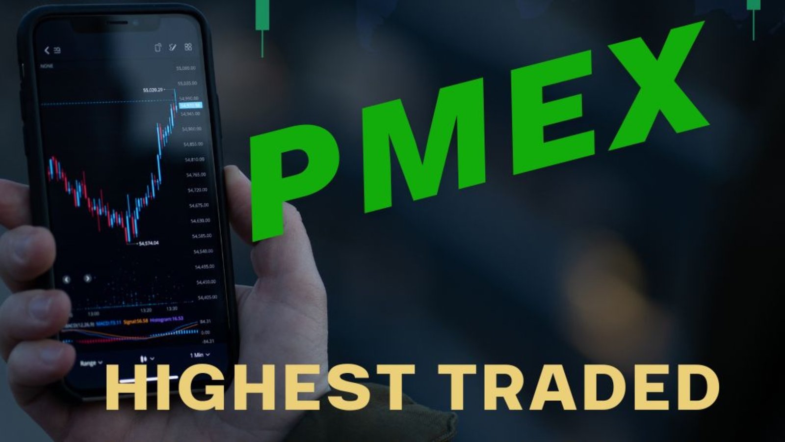 PMEX trading in Pakistan with low investment through SR Gold Commodities